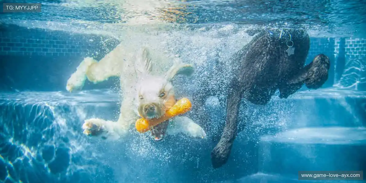 球迷专属，周边一站式购齐！🎁👕