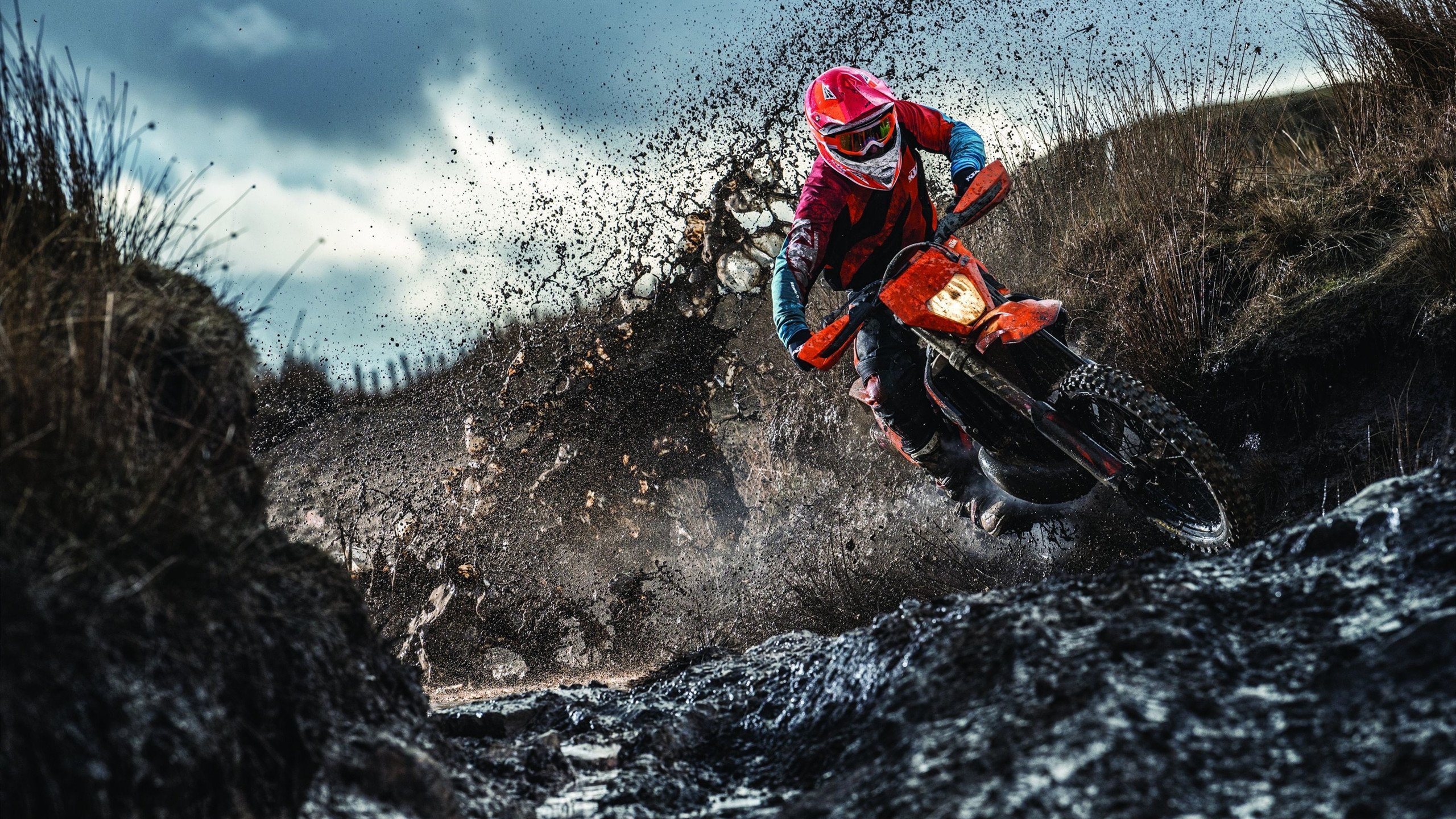 _职业格局再生变：年轻选手崭露头角引关注_，职业格局是什么